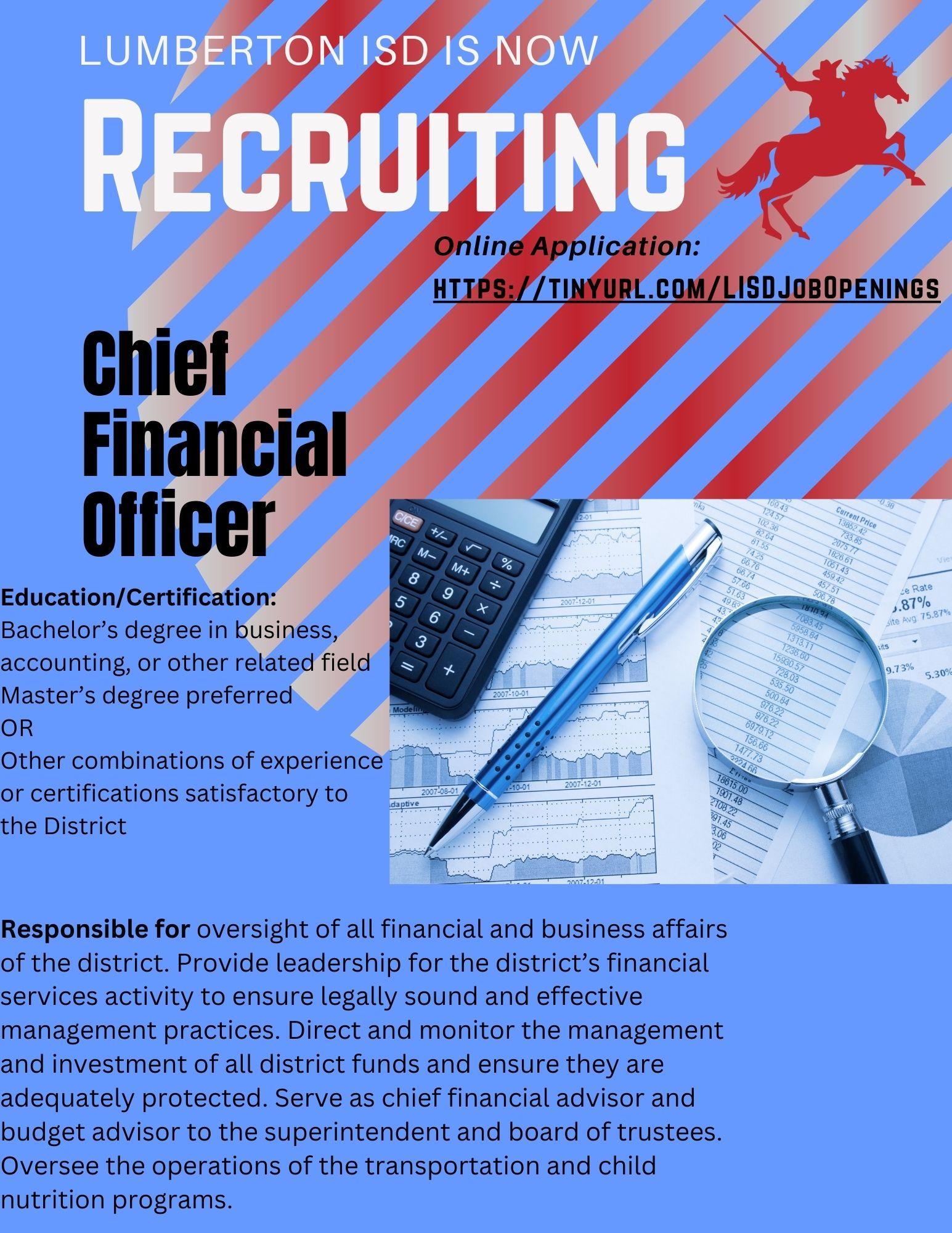 Chief Financial Officer Recruitment Flier